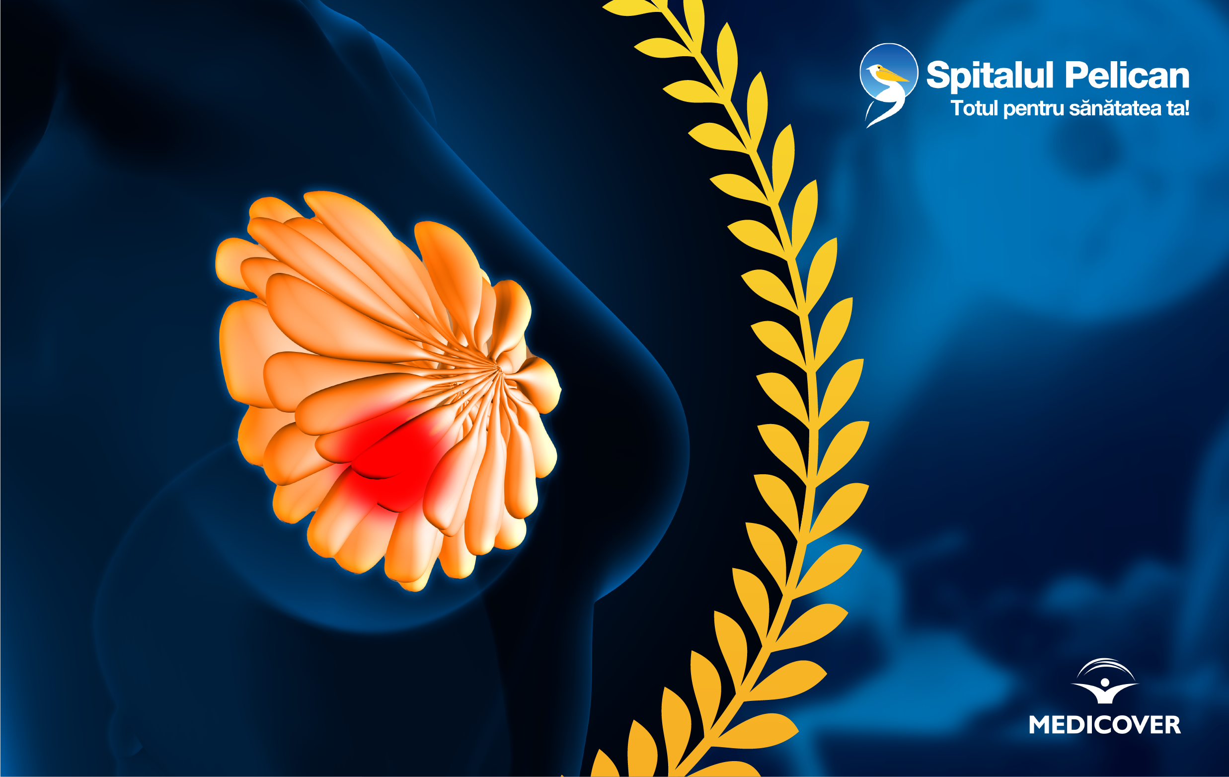 Centrul de Excelenta in diagnostic si tratament pentru cancerul de san