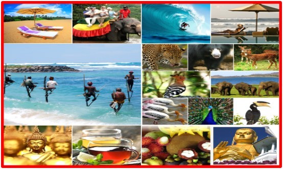 Am deschis Centrul de Vaccinari Internationale la Oradea!